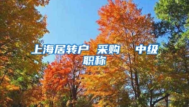 上海居转户 采购  中级职称