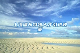 上海浦东特殊人才引进政策