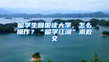 留学生回国读大学，怎么操作？“留学江湖”求救文