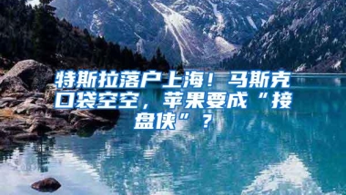 特斯拉落户上海！马斯克口袋空空，苹果要成“接盘侠”？