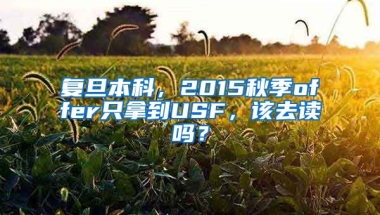 复旦本科，2015秋季offer只拿到USF，该去读吗？