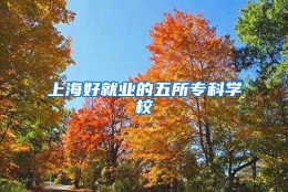 上海好就业的五所专科学校