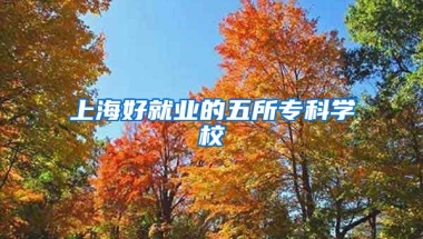 上海好就业的五所专科学校