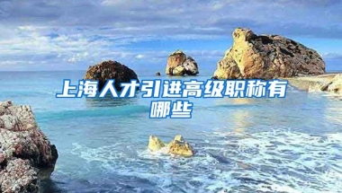 上海人才引进高级职称有哪些