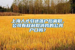 上海人才引进落户后离职，公司有权利取消我的公共户口吗？