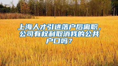 上海人才引进落户后离职，公司有权利取消我的公共户口吗？