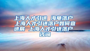 上海人才引进 海龟落户 上海人才引进落户如何查进展 上海人才引进落户 咨询