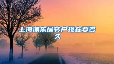 上海浦东居转户现在要多久