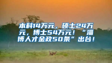 本科14万元，硕士24万元，博士54万元！“淄博人才金政50条”出台！