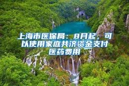 上海市医保局：8月起，可以使用家庭共济资金支付医药费用