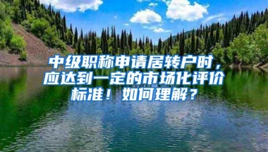 中级职称申请居转户时，应达到一定的市场化评价标准！如何理解？