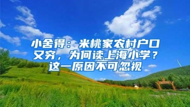 小舍得：米桃家农村户口又穷，为何读上海小学？这一原因不可忽视