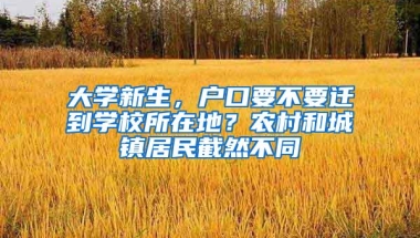 大学新生，户口要不要迁到学校所在地？农村和城镇居民截然不同