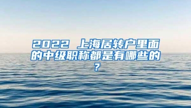 2022 上海居转户里面的中级职称都是有哪些的？