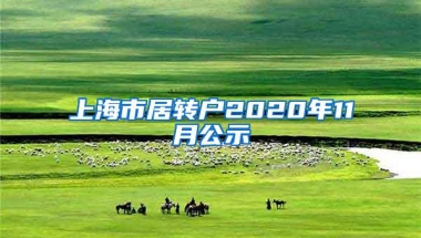 上海市居转户2020年11月公示