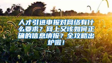 人才引进申报对网络有什么要求？网上又该如何正确的信息填报？全攻略出炉啦！