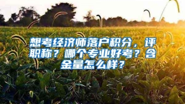 想考经济师落户积分，评职称？哪个专业好考？含金量怎么样？