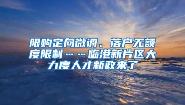 限购定向微调、落户无额度限制……临港新片区大力度人才新政来了