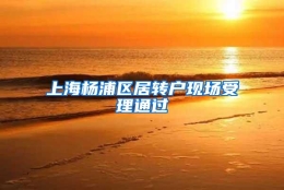 上海杨浦区居转户现场受理通过