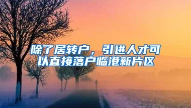 除了居转户，引进人才可以直接落户临港新片区