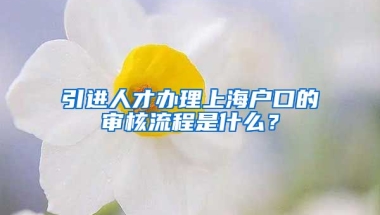 引进人才办理上海户口的审核流程是什么？