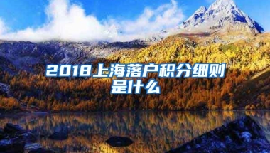 2018上海落户积分细则是什么