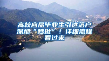 高校应届毕业生引进落户深圳“秒批”！详细流程看过来