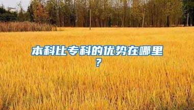 本科比专科的优势在哪里？