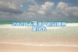 2020上海落户积分细则是什么