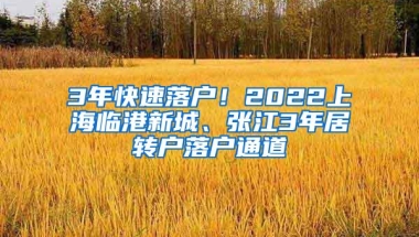 3年快速落户！2022上海临港新城、张江3年居转户落户通道