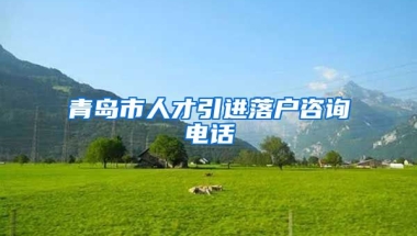 青岛市人才引进落户咨询电话