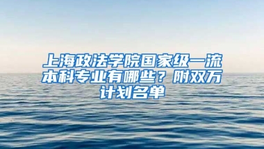 上海政法学院国家级一流本科专业有哪些？附双万计划名单