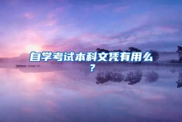 自学考试本科文凭有用么？