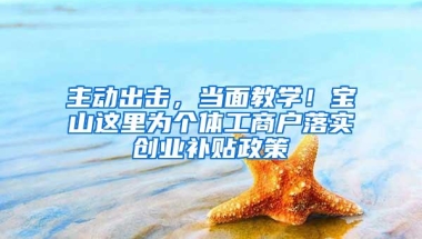 主动出击，当面教学！宝山这里为个体工商户落实创业补贴政策