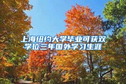 上海纽约大学毕业可获双学位三年国外学习生涯