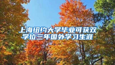 上海纽约大学毕业可获双学位三年国外学习生涯