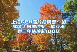 上海GPU芯片独角兽：哈佛博士回国创业，成立不到三年估值超100亿