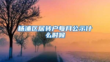 杨浦区居转户每月公示什么时候