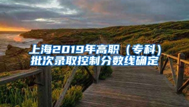 上海2019年高职（专科）批次录取控制分数线确定