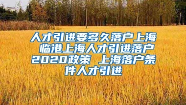 人才引进要多久落户上海 临港上海人才引进落户2020政策 上海落户条件人才引进