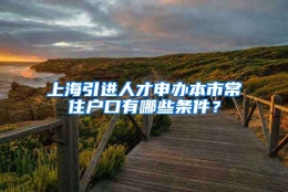 上海引进人才申办本市常住户口有哪些条件？