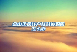 金山区居转户材料被退回怎么办