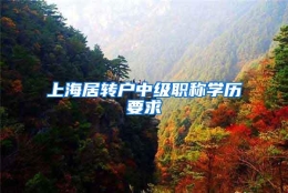 上海居转户中级职称学历要求