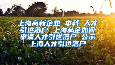 上海高新企业 本科 人才引进落户 上海私企如何申请人才引进落户 公示上海人才引进落户