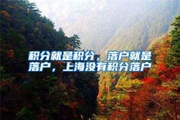 积分就是积分，落户就是落户，上海没有积分落户