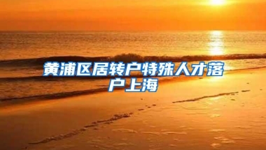 黄浦区居转户特殊人才落户上海