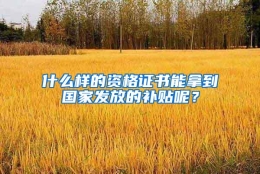 什么样的资格证书能拿到国家发放的补贴呢？