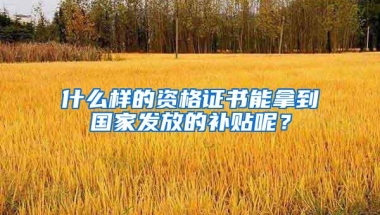 什么样的资格证书能拿到国家发放的补贴呢？