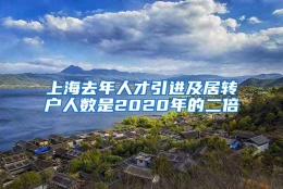 上海去年人才引进及居转户人数是2020年的二倍