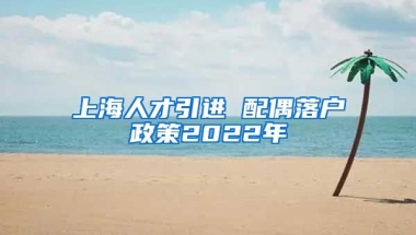 上海人才引进 配偶落户政策2022年